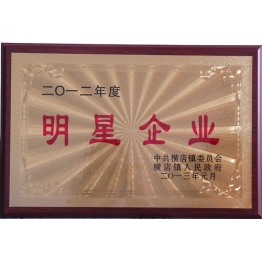 榮譽(yu)證書(shu)